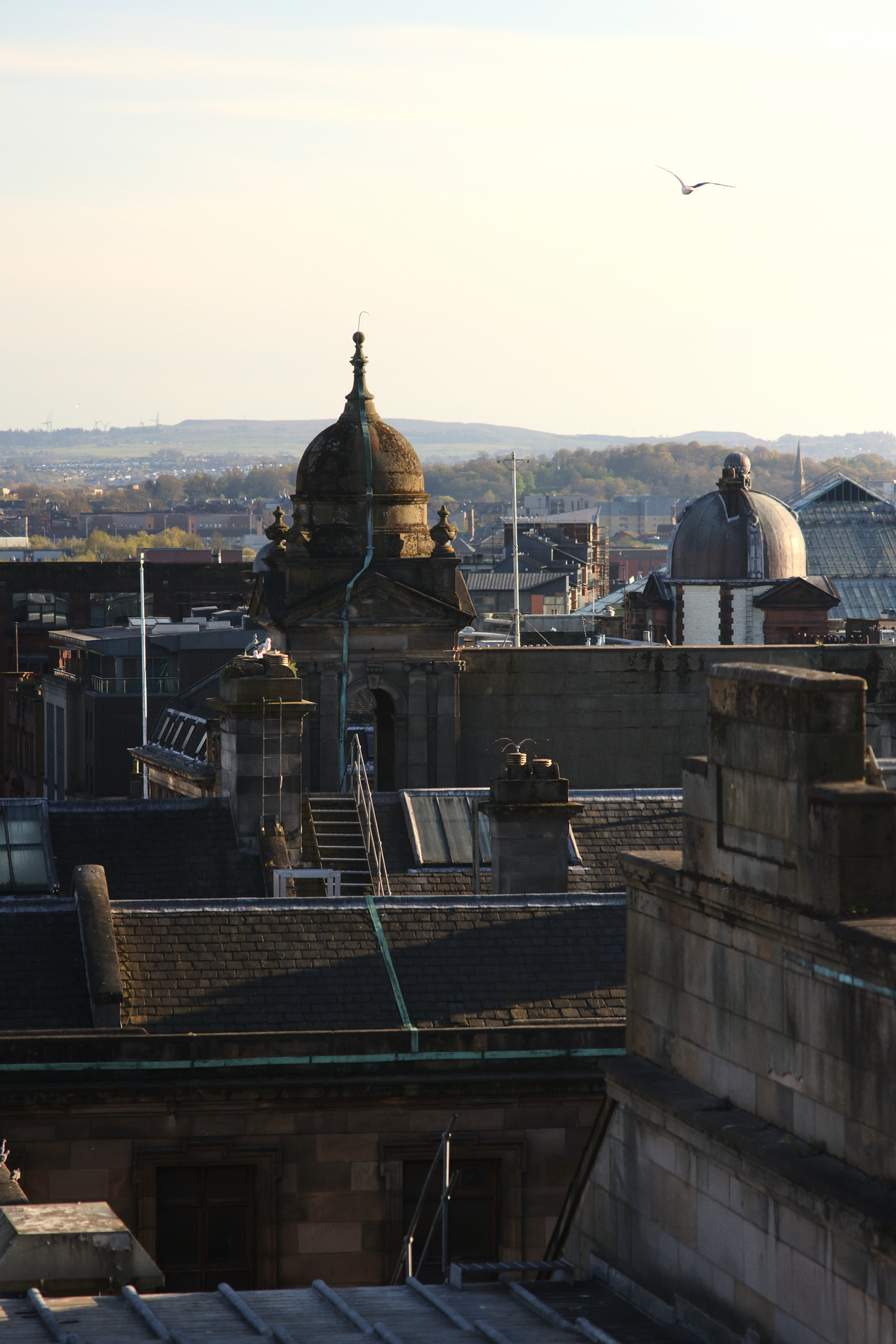 Glasgow View Ana